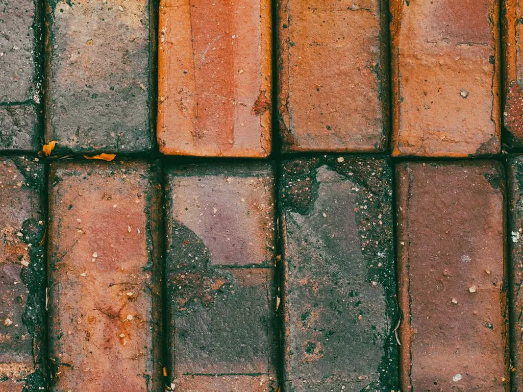 Paving & Landscape Tiles